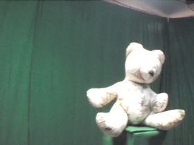 225 Degrees _ Picture 9 _ Green and White Teddy Bear.png